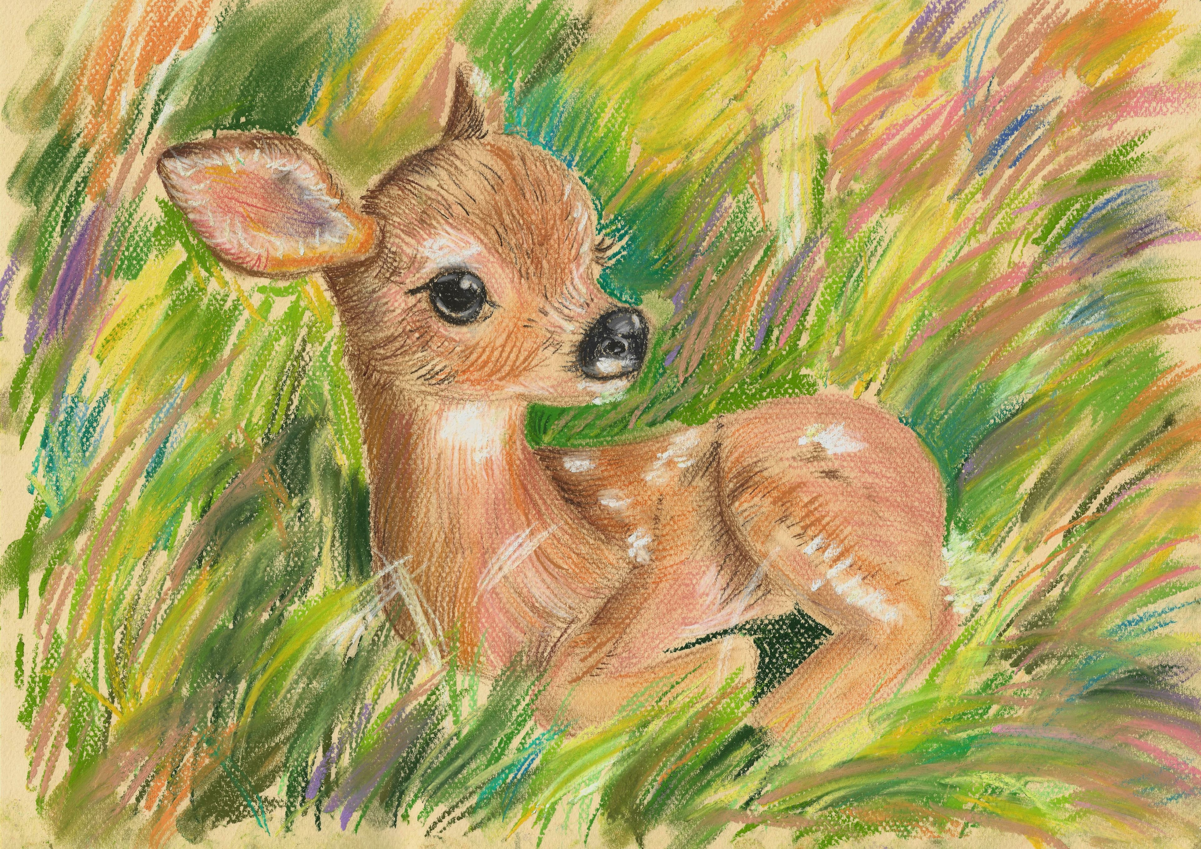 Fawn Among Wildflowers